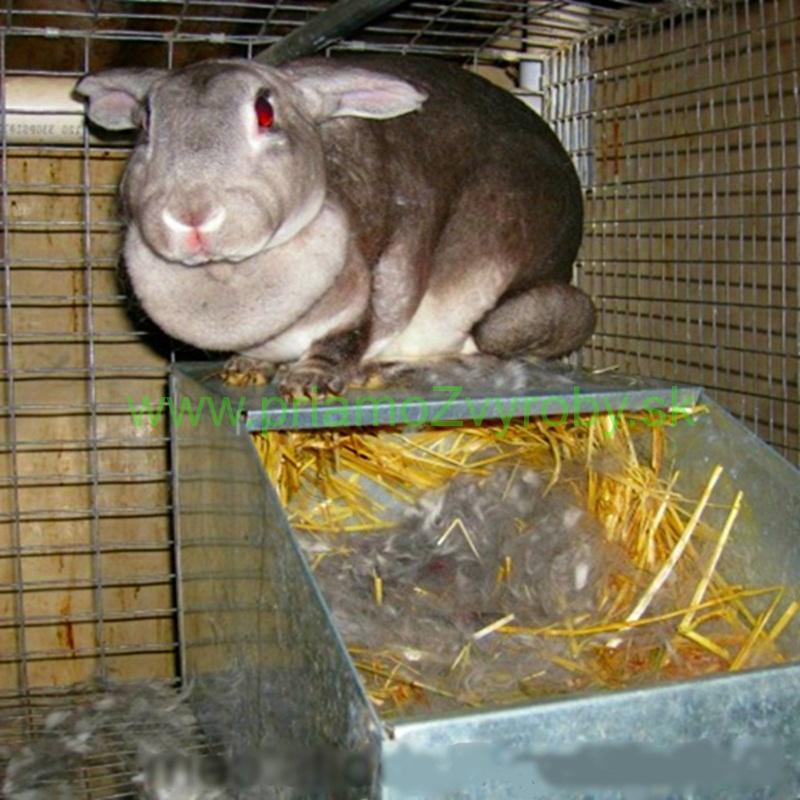Kotiste pre samice zajace kraliky (HLINA)