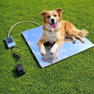 Vyhrevna podlozka ohrevna doska pre pes psa 45x45x1 12V s termostatom (HLINA)