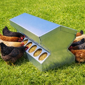 Obojstranné krmítko pre sliepky 20 L – kovové krmítko pre hydinu