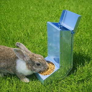 Automatické krmítko pre králiky 3 L – samodosypacie krmítko pre zajace