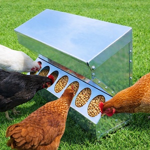 Závesné krmítko pre sliepky na stenu 10 l – kovové krmítko pre hydinu