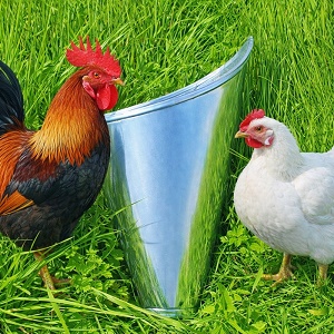 Odkrvovací lievik na hydinu – univerzálny porážací lievik