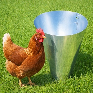 Odkrvovací lievik na hydinu – pevný porážací lievik