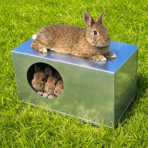 Domceky pre zajace 50x30x30cm (HLINA)