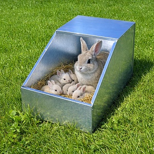 Kotiste kotna budka  pre zajace kraliky (HLINA)