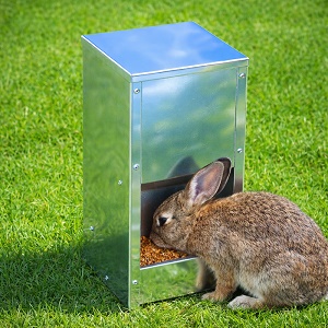 Samodosypacie krmítko pre králiky 4 L – kovové krmítko pre zajace
