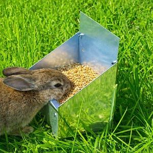 Kovové krmítko pre králiky 0,3 L – odolné krmítko pre zajace do klietky