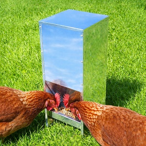 Automatické krmítko pre sliepky 14 L – kovové krmítko pre hydinu