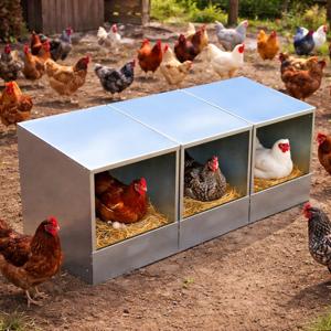 Znaskove hniezda pre nosnice (HLINA)