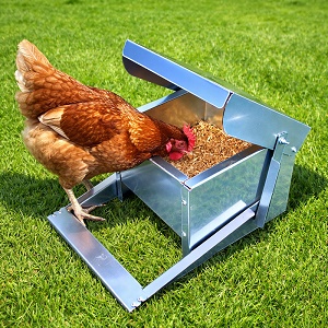 Nášľapné krmítko pre sliepky 3 L – krmítko proti vrabcom a myšiam