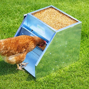 Krmítko pre sliepky s ochranou proti myšiam a vtákom – kovové krmítko pre hydinu