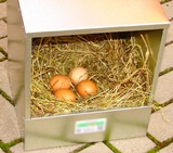 Hniezdo pre hydinu znaskove  (HLINA)